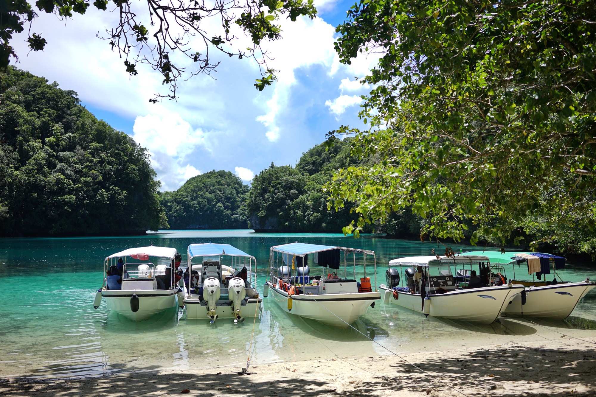 一定是特别的缘分——帕劳,再遇见「周若雪Patty」·上