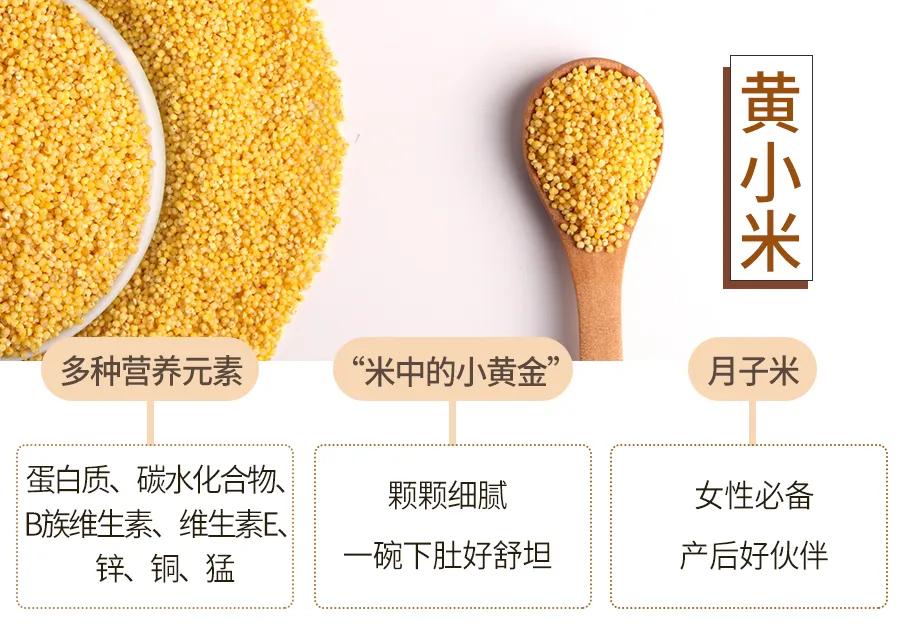 黄小米各种美食做法,黄小米美食视频