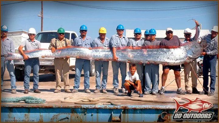 21:9的显示器有哪些强项和弱项?暗影骑士XV340CK体验告诉你