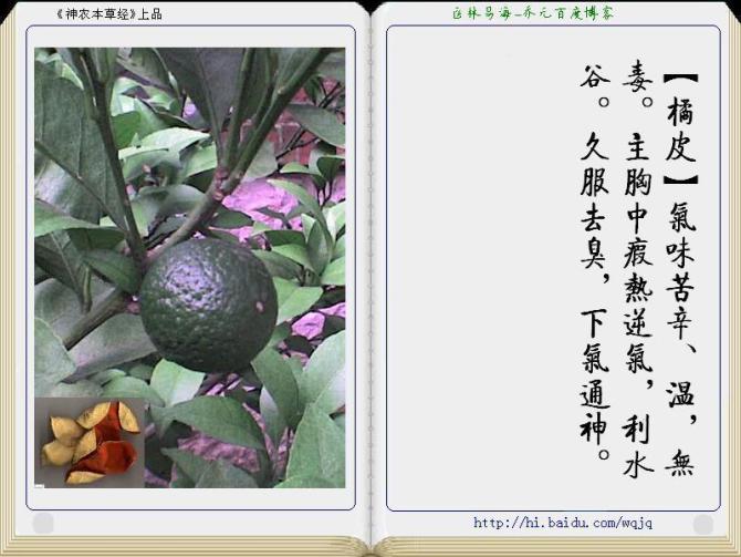 本草纲目中药讲解视频,本草纲目中药图谱及药理讲解