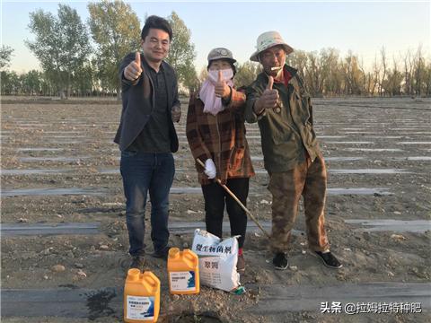 益沛蔬复合微生物菌剂的使用方法,微生物菌剂和什么一起用效果最好