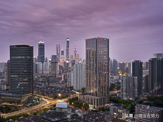 上海五星级酒店推荐大全,上海市五星级宾馆有多少家