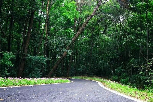 武汉市最热门的春游景点,2022武汉春游好去处