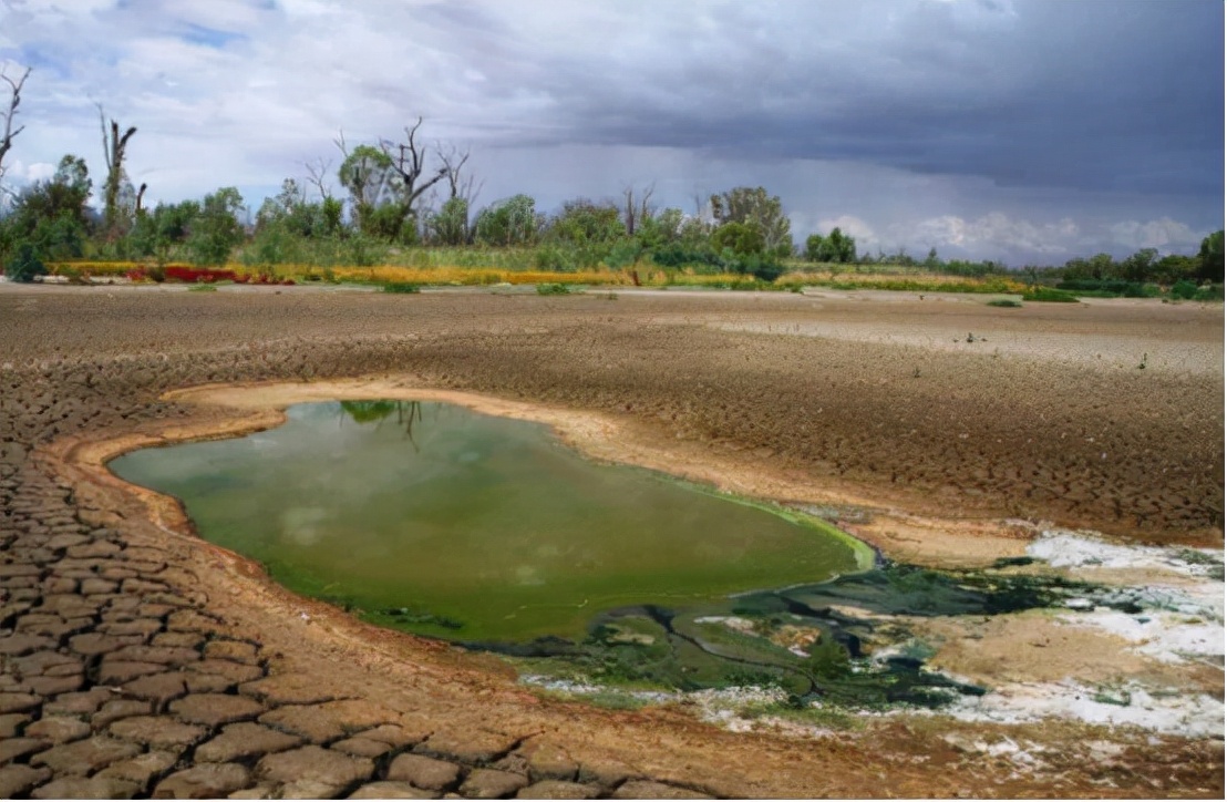 世界水资源短缺最新消息,2050年预计全球将有50亿人缺水