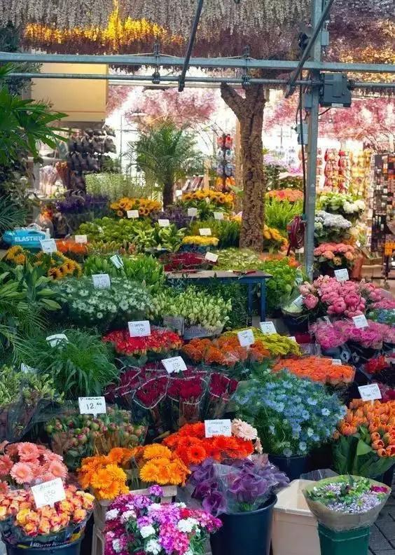 亚洲最大花市宛如仙境,中国最牛的花市