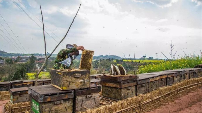 春夏还能这么吃健康养生吃不腻,春夏秋冬适合喝什么滋补