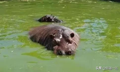 老城回忆乌鲁木齐,乌鲁木齐值得回忆的地方
