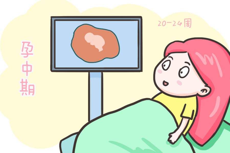 双顶径和头臀长对照表,双顶径和股骨长能看出宝宝多重吗