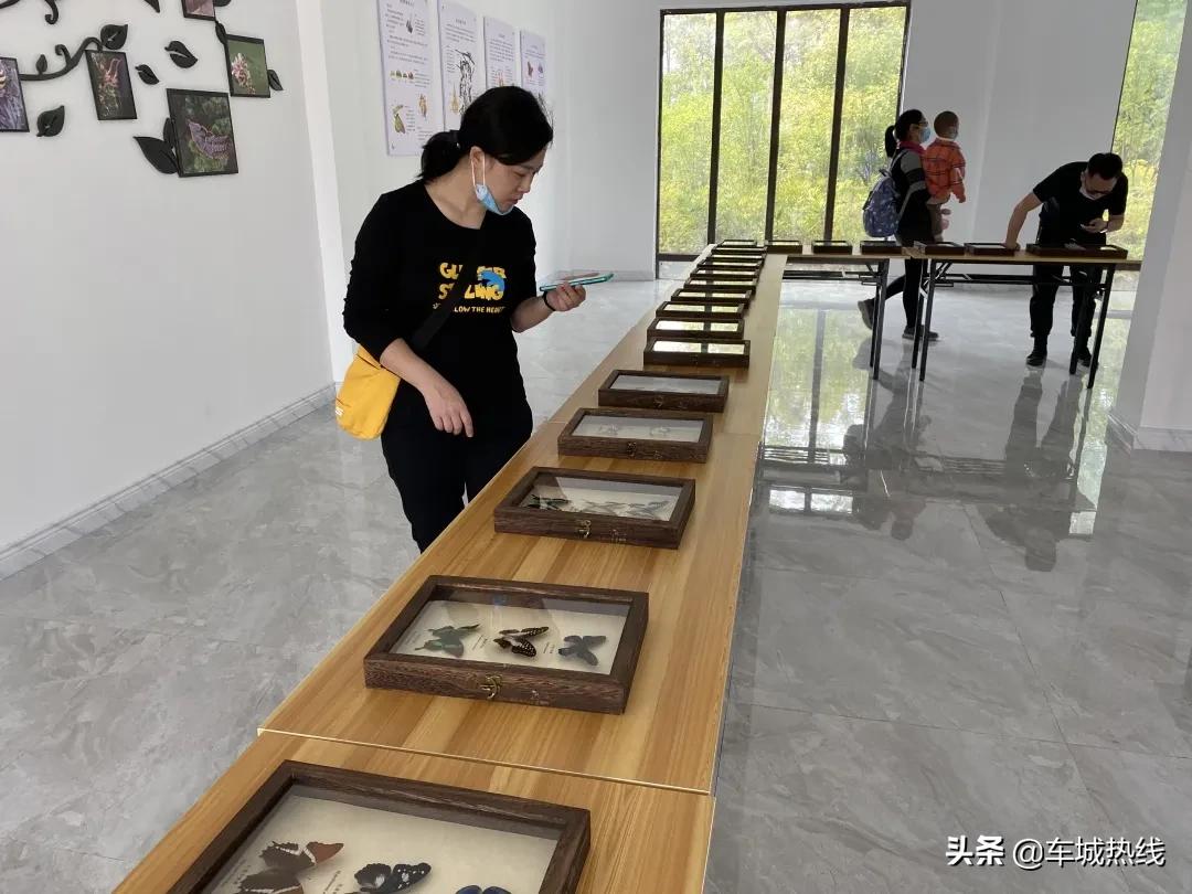 十堰市雨过天晴,十堰市晴好天气