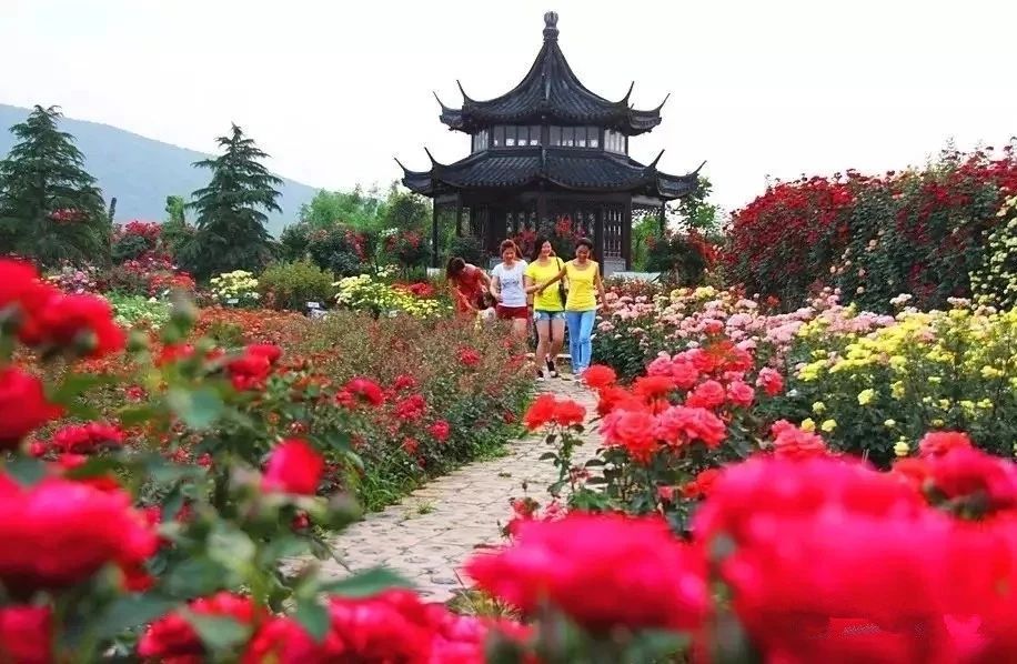 再过半个月，全国人民都将羡慕南阳