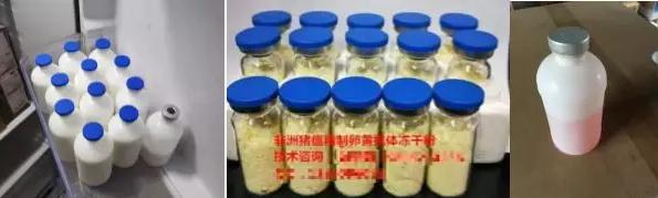 “非瘟疫苗”假货泛滥，养猪人深受其害，已有猪场被清场