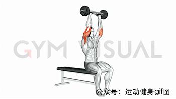 100张肌肉分解图,手臂肌肉的爆发力怎么练