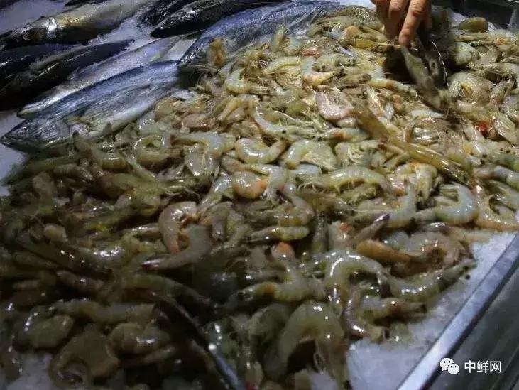 中秋营销水产篇，如何稳中求胜创佳绩？