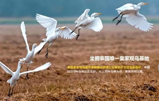 泰国华欣怎么样,泰国华欣值不值得去