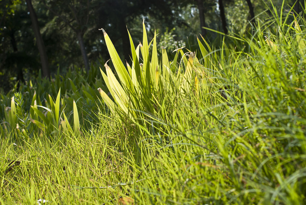 孔子有登泰山而小天下的名言,孔子登泰山而小天下的翻译是什么