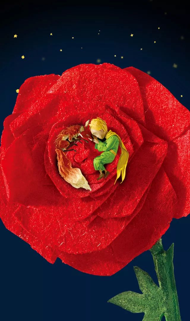 小王子这本书的作者的成长经历,小王子作者圣埃克苏的传奇一生