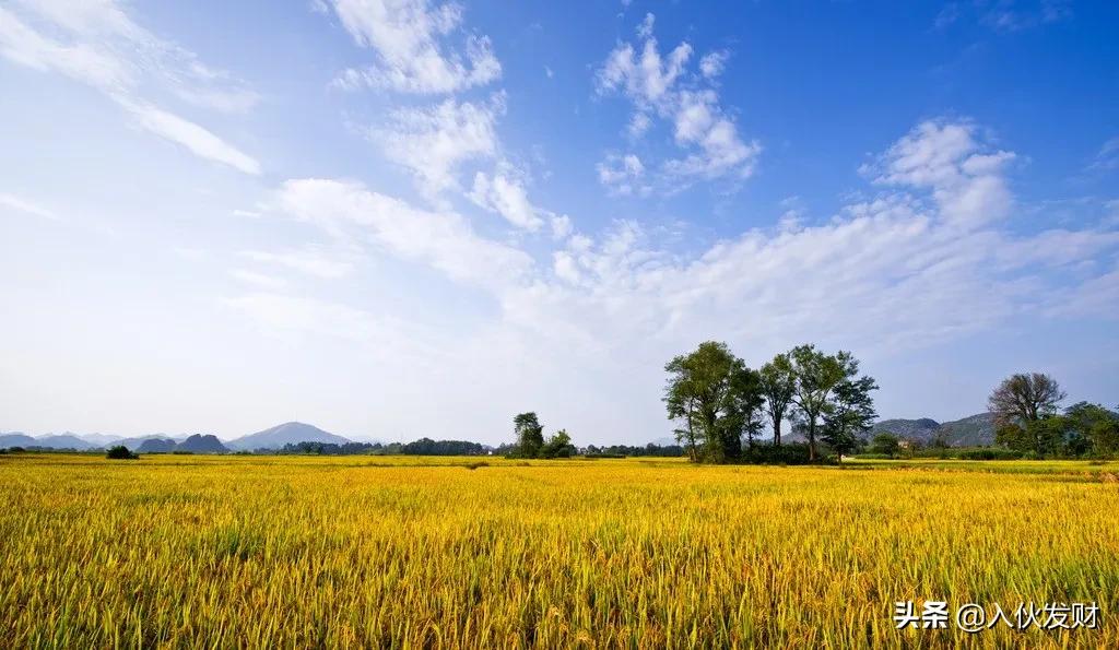 炒期货开户流程及费用,期货怎么炒才能赚大钱