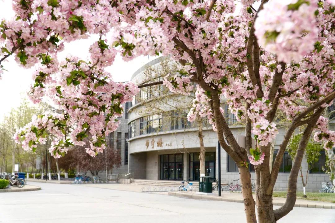 天津公办3+2本科学校有哪些,天津市专升本天津师范大学