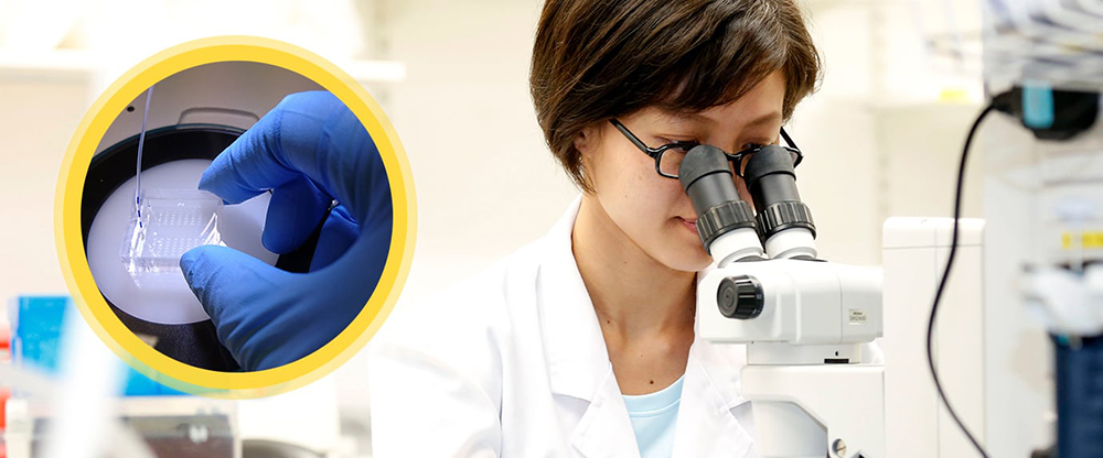 澳洲的健康科学专业,澳洲大学健康科学