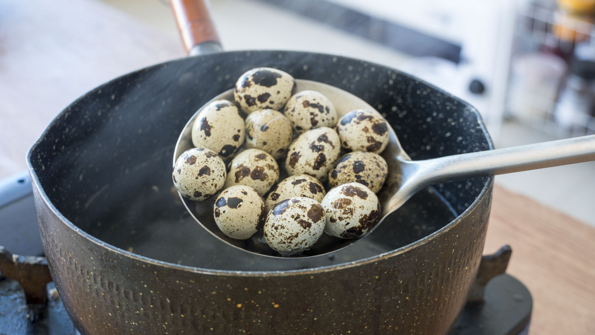秋天猪肉配什么炒好吃,立秋贴秋膘六种肉食做法