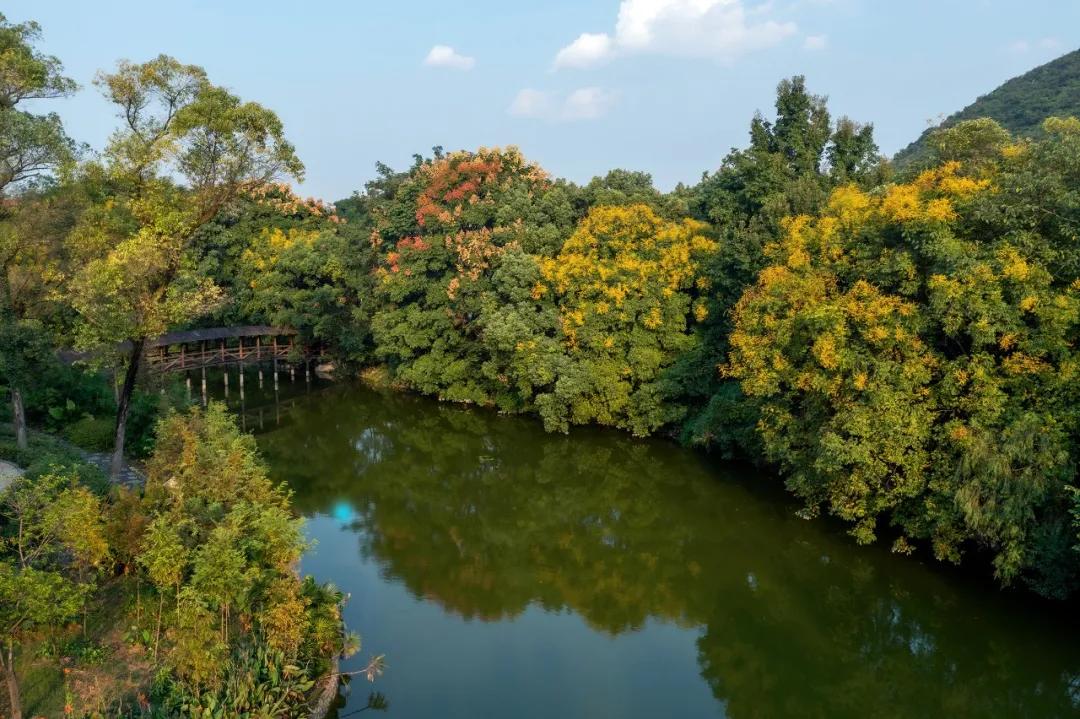 住进风景里的酒店,住进森系酒店