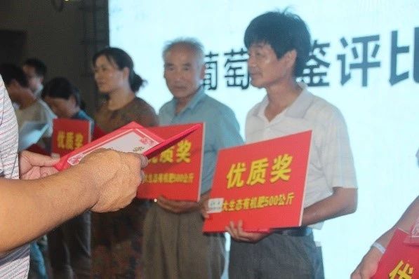 插上农业物联网的翅膀，慈溪葡萄能否扭转产业局面？