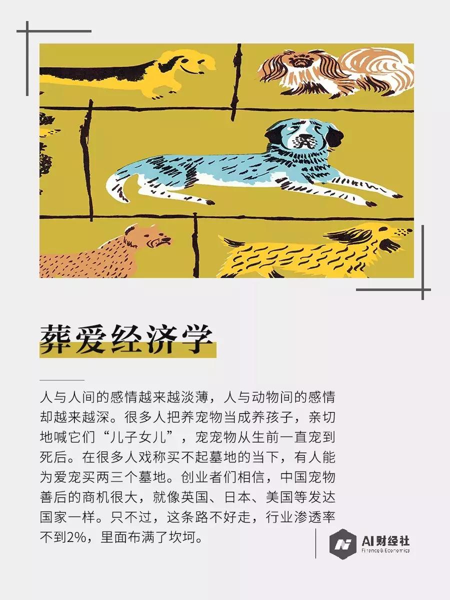 宠物经济正当时：有人喊爱宠儿子女儿，有人花数万买巴掌大墓地