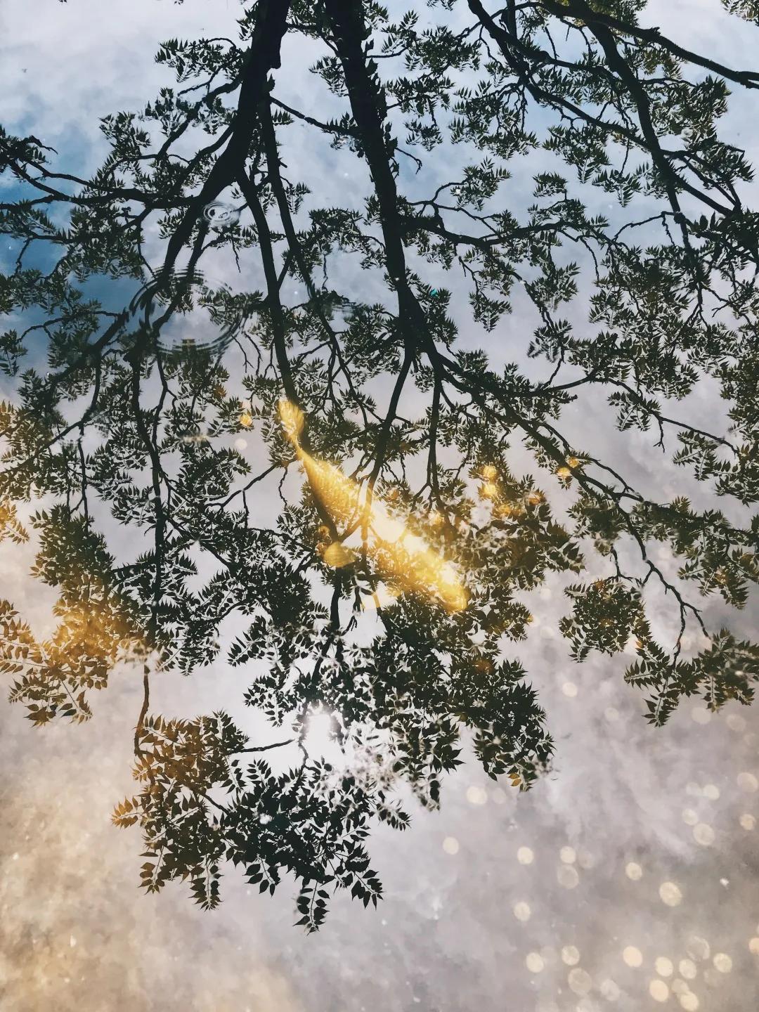 iphone相机操作指南广角镜头篇,iphone相机操作指南3.0