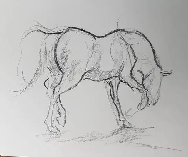 马怎么画简单图画,马怎么画更真实