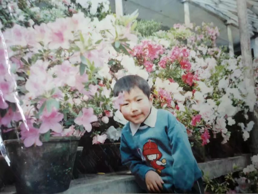 90年代伊春往事,伊春林区往事