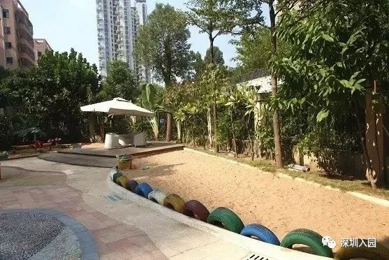 深圳十大最好的幼儿园,有钱你也上不了的深圳四所学校