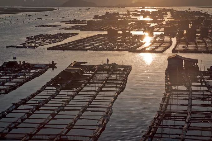 霞是光，浦是海：光与海的对话，吟唱出最美的滩涂