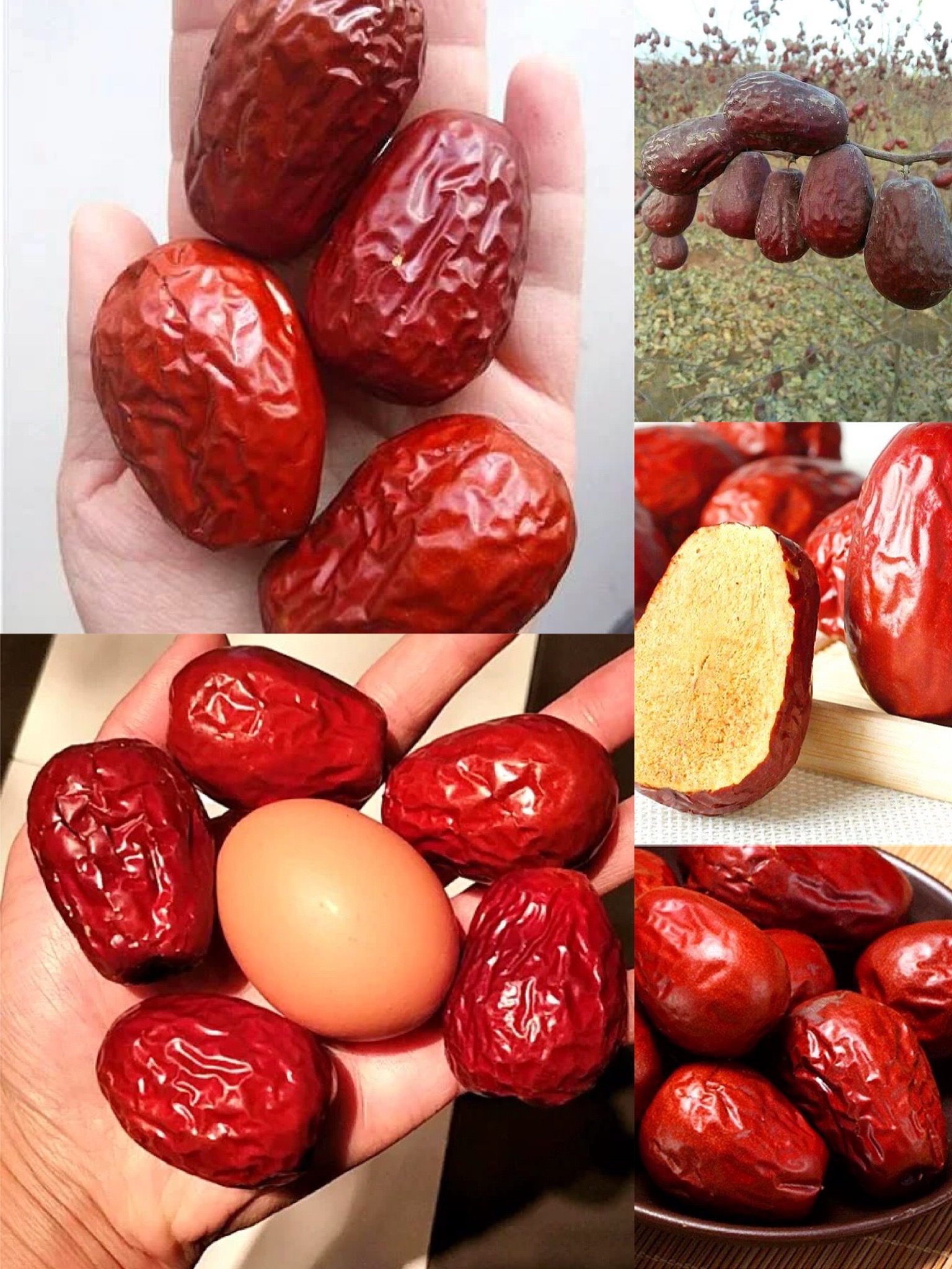 种草年货必买清单,最全新疆特产店