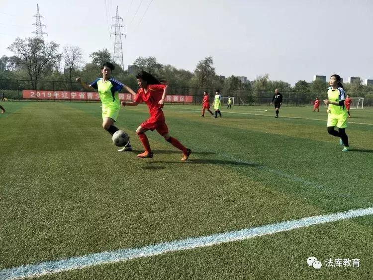 2019年沈阳市青少年校园足球比赛,2019辽宁省青少年足球锦标赛