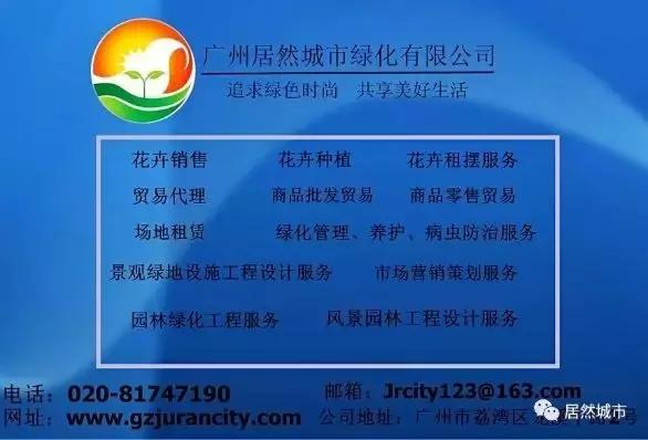 各类盆栽花语大全及寓意,各绿植寓意名字及花语大全