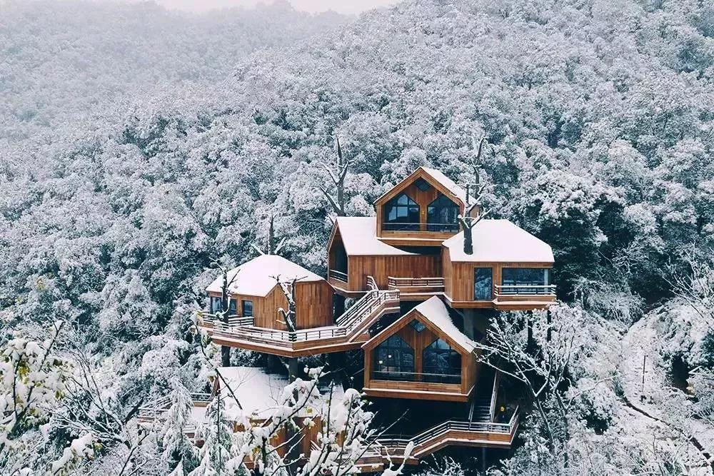 浪漫树屋、奇妙酒店、恒温水乐园...去江浙沪Top酒店跨个30℃的年