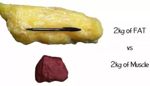 怎么测体脂比较好,什么是体脂秤怎么看脂肪多少