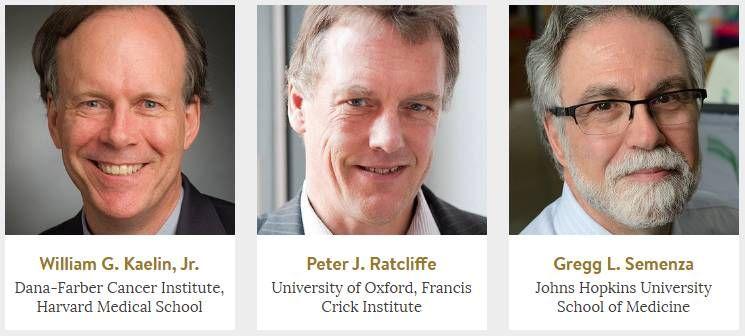 缺氧对肿瘤的影响,缺氧与癌症的关系