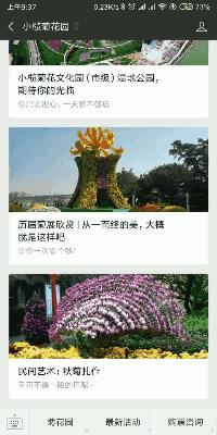 快闪、街舞、爵士、古典，菊花会即将迎来一波神秘嘉宾！