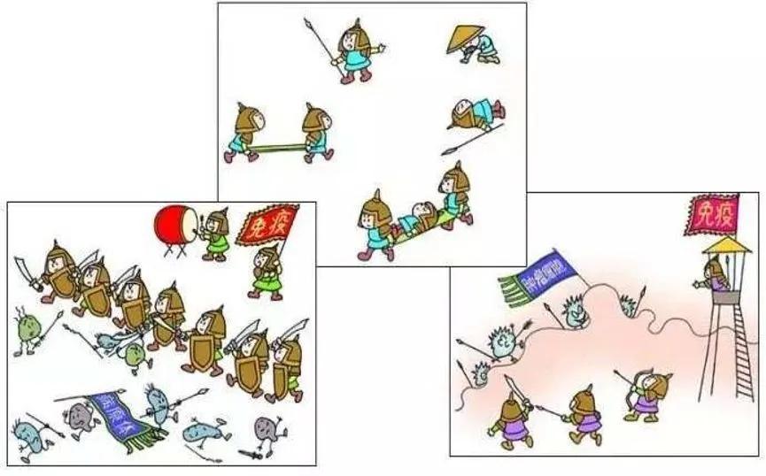 新西兰保健品哪个好用,新西兰保健品哪一个是最强免疫力