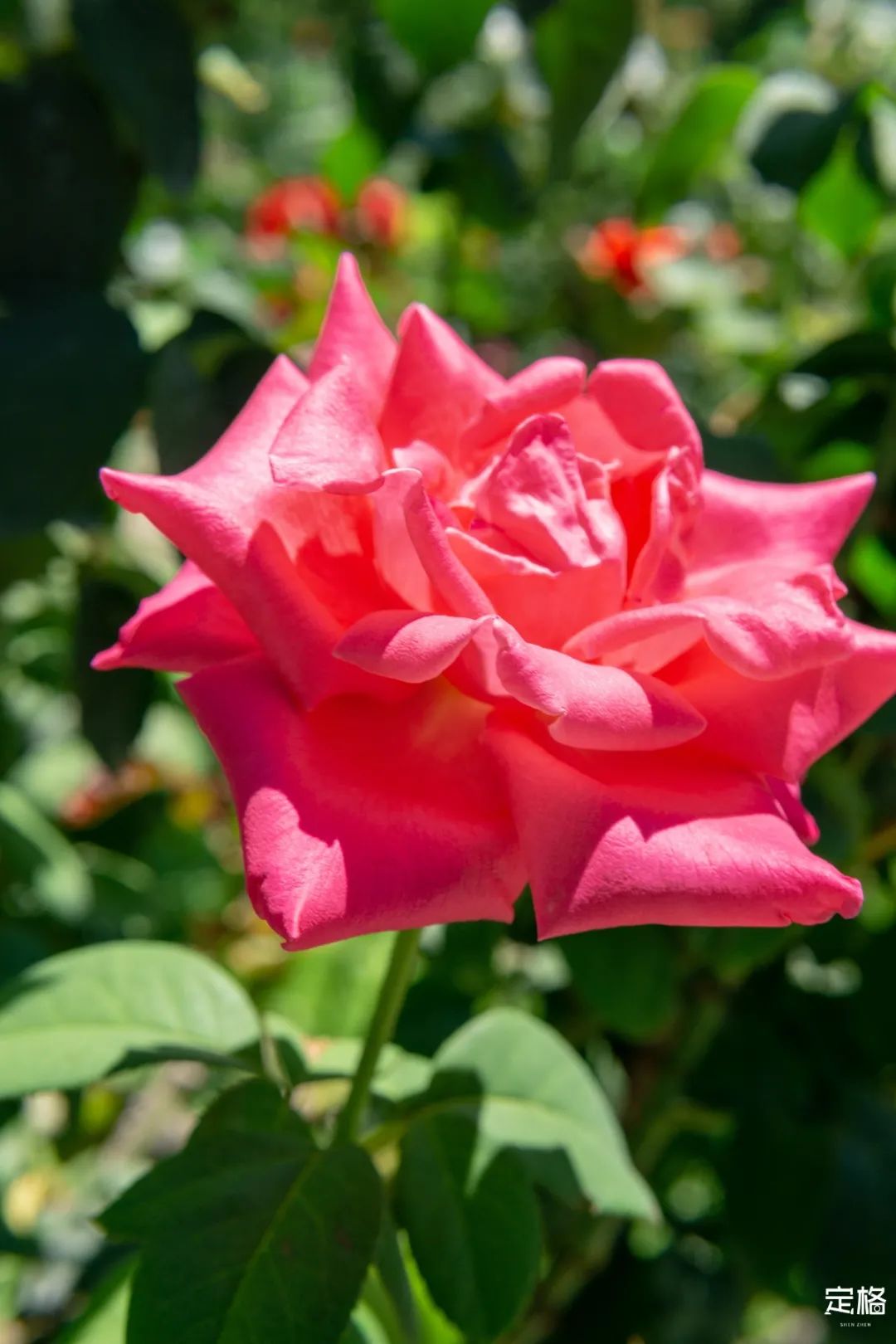 深圳十大避暑基地,深圳附近避暑地方有哪些景点