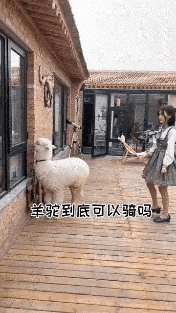 听说女生的袜子都很臭，我不信，我要试试