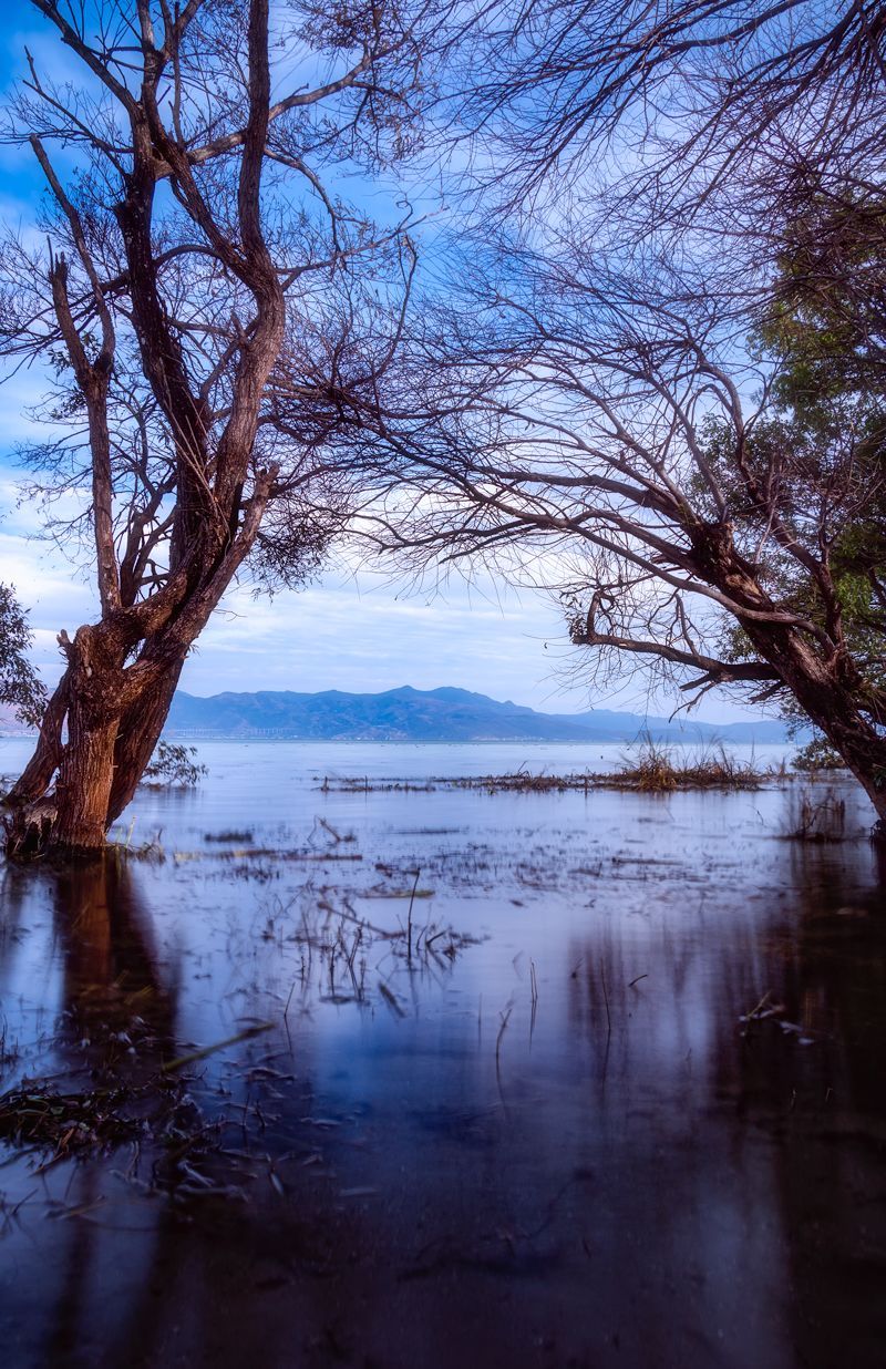 曲线要怎么记容易学得快,曲线难学吗