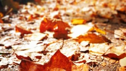 昆明适合拍照的景点有哪些,昆明大理周边旅游景点排名榜前十