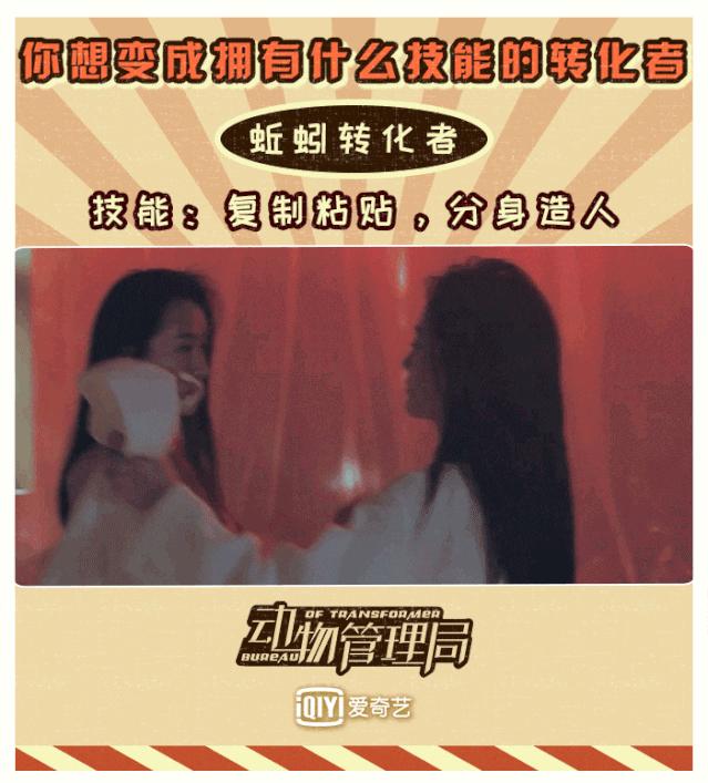 动物管理局第二季免费观看完整版,动物管理局完整版1-24集免费