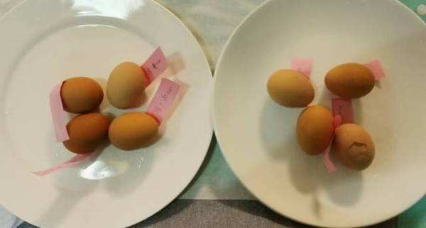 煮鸡蛋少一分钟也不行!教你3个办法,鸡蛋不破皮好剥、味道最好