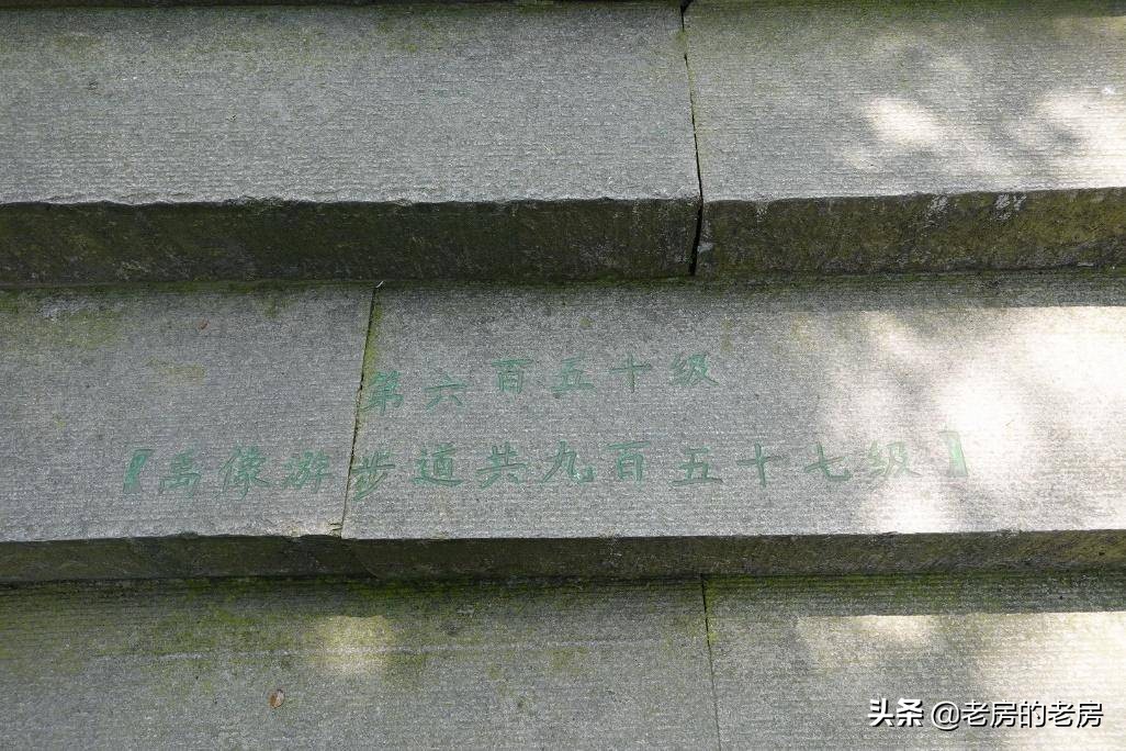 运动相机和手机哪一个适合做vlog,运动相机用哪个vlog