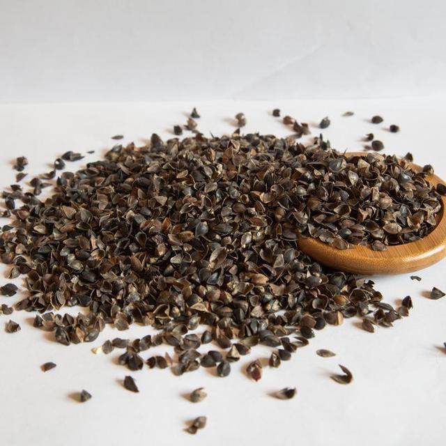 枕头内的荞麦皮放土里能养花吗,晒枕头晒出好多虫子