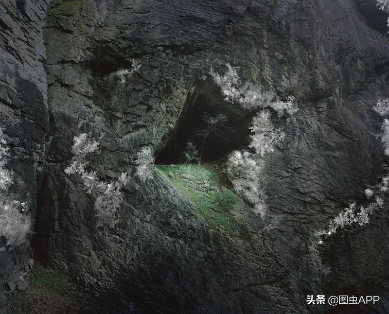 图虫opensealab摄影,图虫看动物世界系列