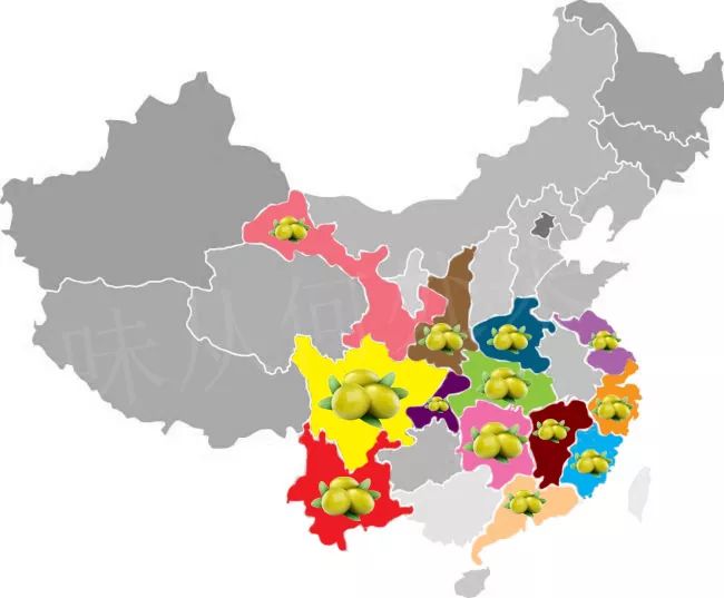 橄榄油美食,橄榄油臻颜精粹